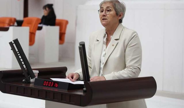 CHP'li Taşkent'ten Mudurnu Deresi için soru önergesi!