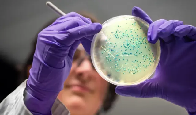 Yapay zekâ dirençli bakteriler için antibiyotik tasarladı