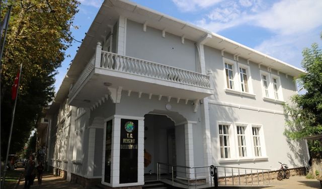 Ağaç kesimine gerekçe: Müftülük binası yapılacak