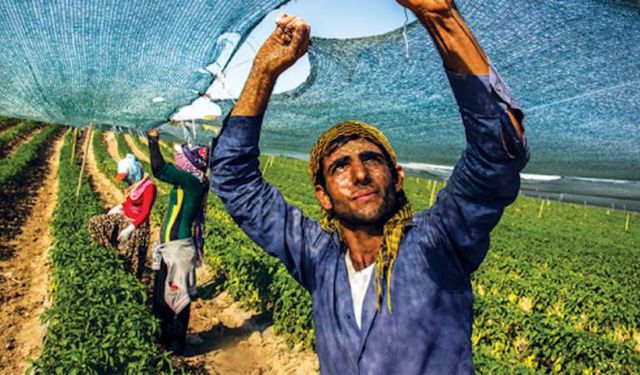 Gençlere “Köy” desteği: Bedelsiz arazi ve ev fırsatı yolda