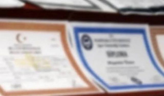 Sahte diploma: Kampanyalı satış sürüyor
