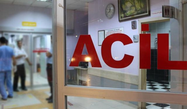 Erzincan'da 106 kişi yedikleri düğün yemeğinden zehirlendi