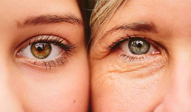 Eğitim düzeyi, biyolojik yaşlanmayı etkiliyor