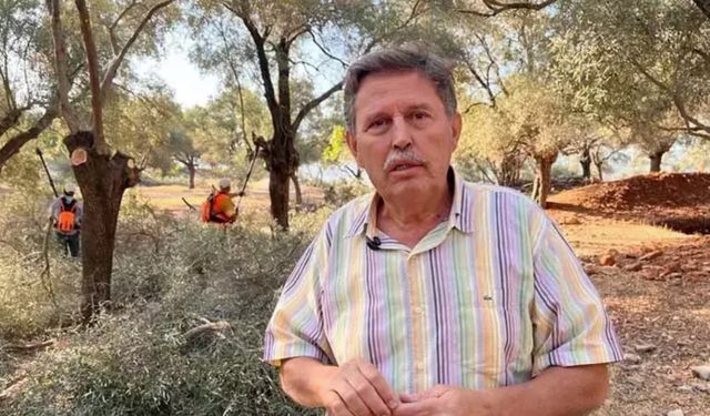 Akbelen’de zeytin sökümüne onay veren kişi AKP’li çıktı