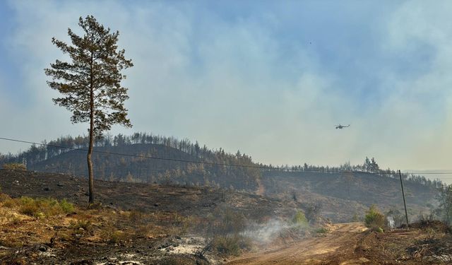 Muğla Köyceğiz’de orman yangını ikinci gününde devam ediyor