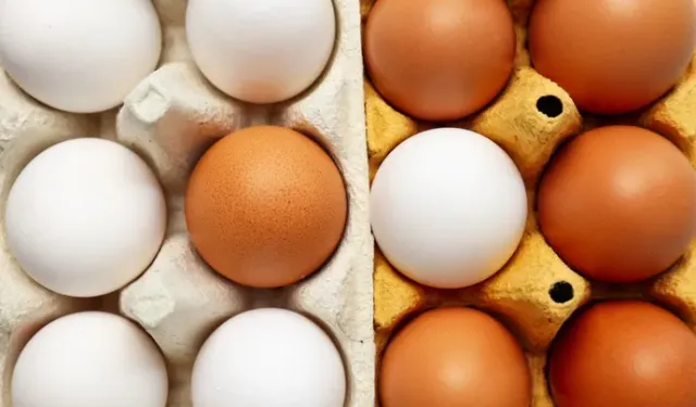 Yumurta krizi kapıda: Fiyatlar artarken üretim düşüyor