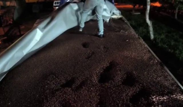 Makaronları fındıkla kamufle etmişler