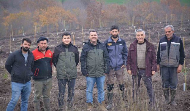 Manyas'ta orman köylüsüne gelir getirici ağaçlandırma