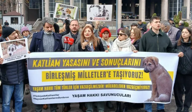 Katliam yasasını BM’ye taşıdılar