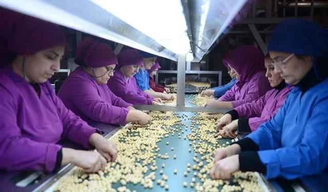 FİSKOBİRLİK: 18 yılda 15 milyar lira zarar!