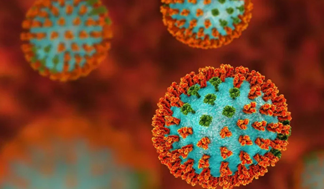 Mutasyona uğramış H3N2 Türkiye’de: “Bulaştırıcılık arttı”, risk grupları için zatürre alarmı