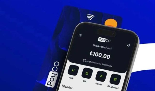 Payco operasyonunda ikinci dalga: 28 gözaltı