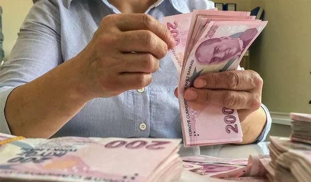 7 milyar TL'lik 'mali müşavir' operasyonu