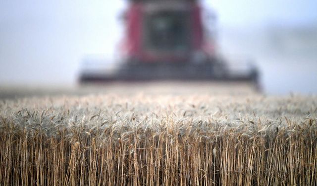 Tahılda yüzde 12,3, meyvede yüzde 30,9 üretim düşüşü!