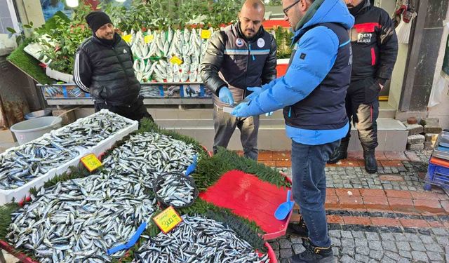 Balık tezgâhları yakın takipte