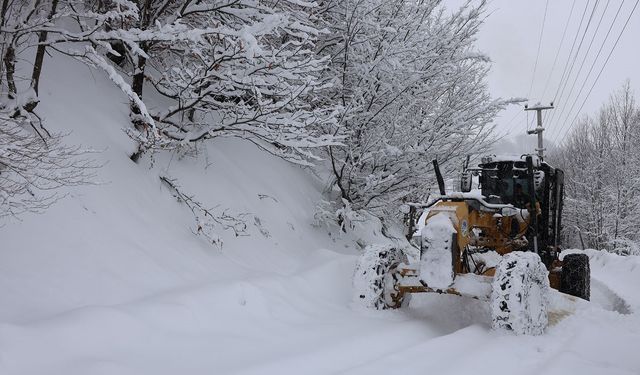 Sakarya'da 36 noktada kar küreme çalışmaları sürüyor