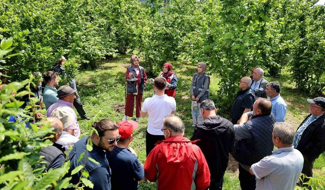 Büyükşehir'in 2025 tarım raporu: 810 noktada toprak analizi yapıldı