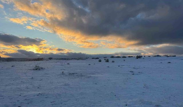Çimsa, şehitlik için 80 yıllık rezervden feragat ediyor