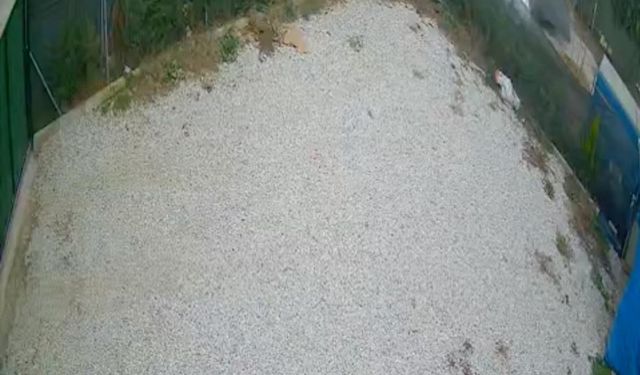 Direksiyon hakimiyetini kaybeden sürücü ölümden böyle döndü