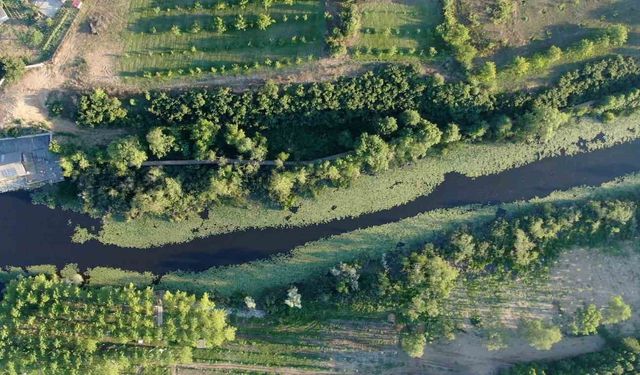 Doğanın kalbi Sakarya'da attı: İki yeşil noktaya 605 bin ziyaretçi