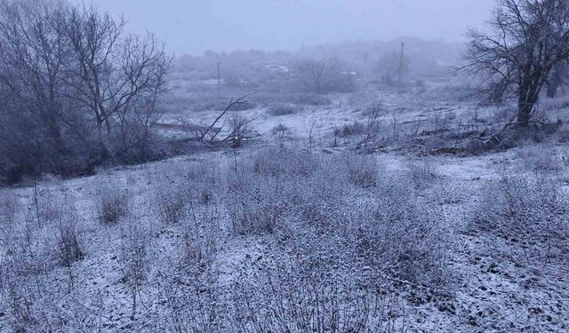 Edirne'nin Hamzabeyli köyünde kar yağışı başladı