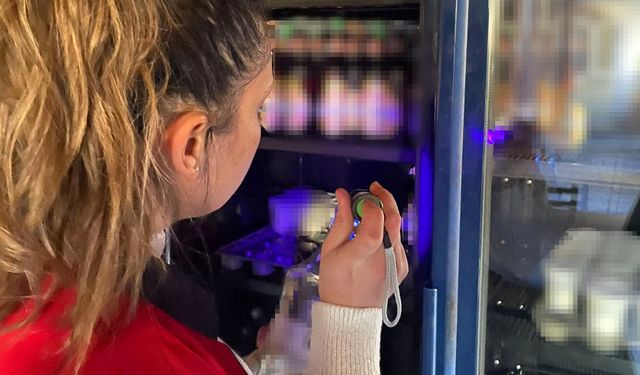 Gıda ürünleri mercek altında