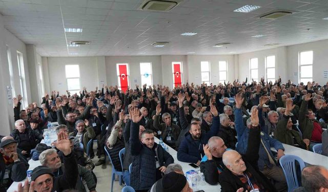 Orhangazi Zeytin Tarım Satış Kooperatifi'nde Hüseyin Sevdi dönemi başladı
