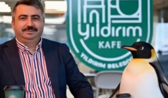 Penguen sürüden ayrılırken belediyeler boş durmadı