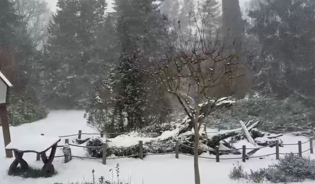 Sarıyer'in yüksek kesimleri karla kaplandı