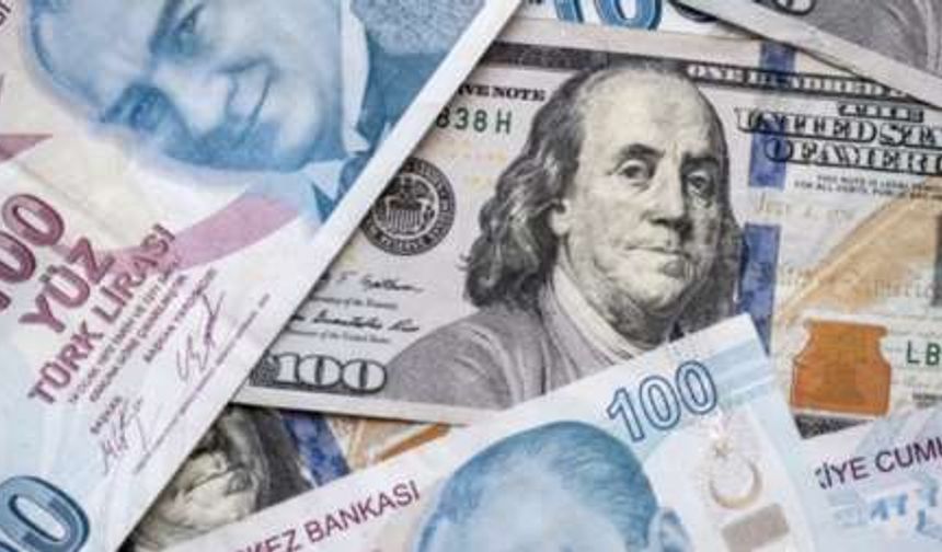 Reuters: TL/dolar kuru 20'yi gördü