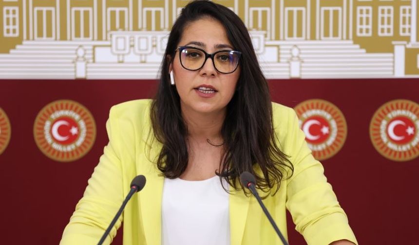 Sera Kadıgil'den MESEM tepkisi: “16 çocuğun ölümünün faili Bakan Tekin’dir”