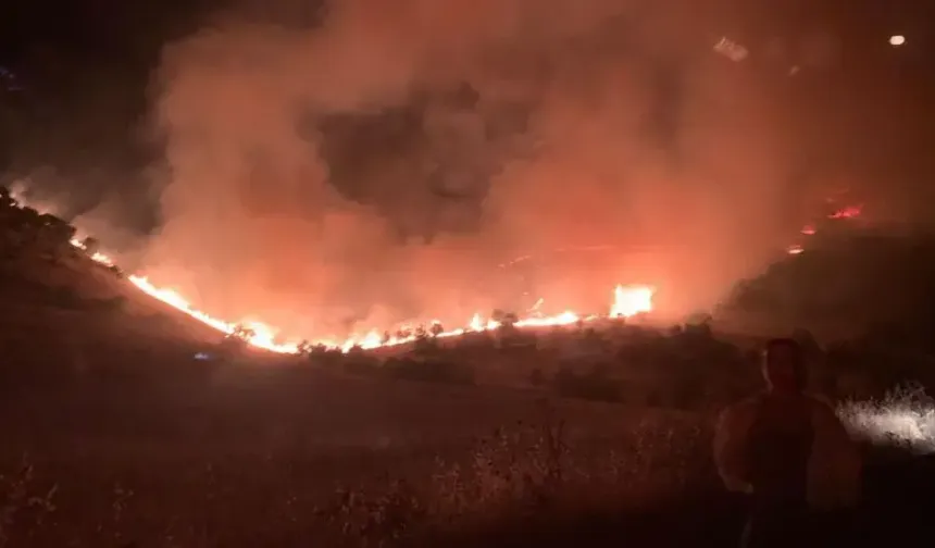 Diyarbakır ve Mardin'de yangın: 5 kişi hayatını kaybetti