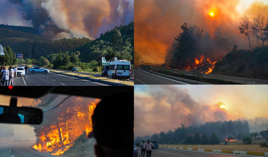 Orman yangını önlemleri tasarrufa takılmış
