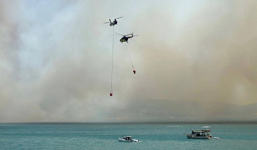 İzmir ve Mardin’de Orman Yangınları: Müdahaleler Sürüyor