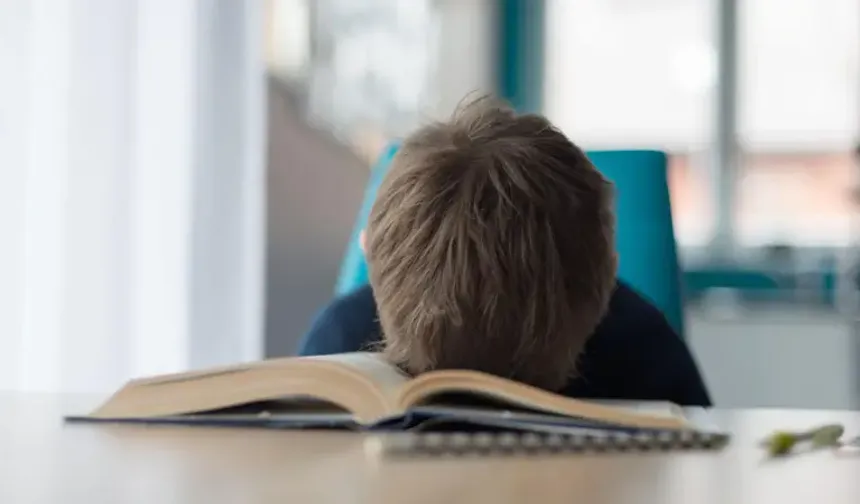 Matematikte başarı doğuştan mı geliyor?