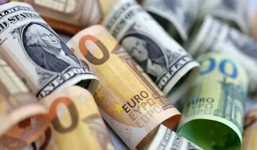 20 Kasım güncel döviz kurları: Dolar/Euro güne nasıl başladı?