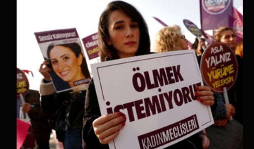 Erkek Şiddeti Veritabanı erişime açıldı