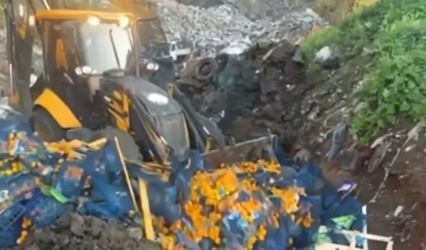 Sınır kapısında 6 ton zehirli mandalina tespit edildi