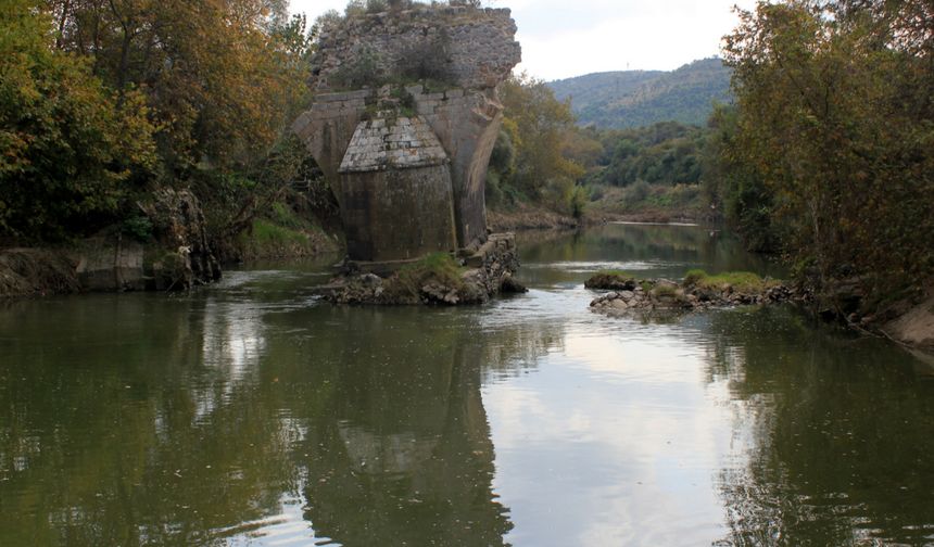 Gönen Çayı ve Manyas Kuş Cenneti can çekişiyor: Sanayi, maden ve OSB tehdidi büyüyor
