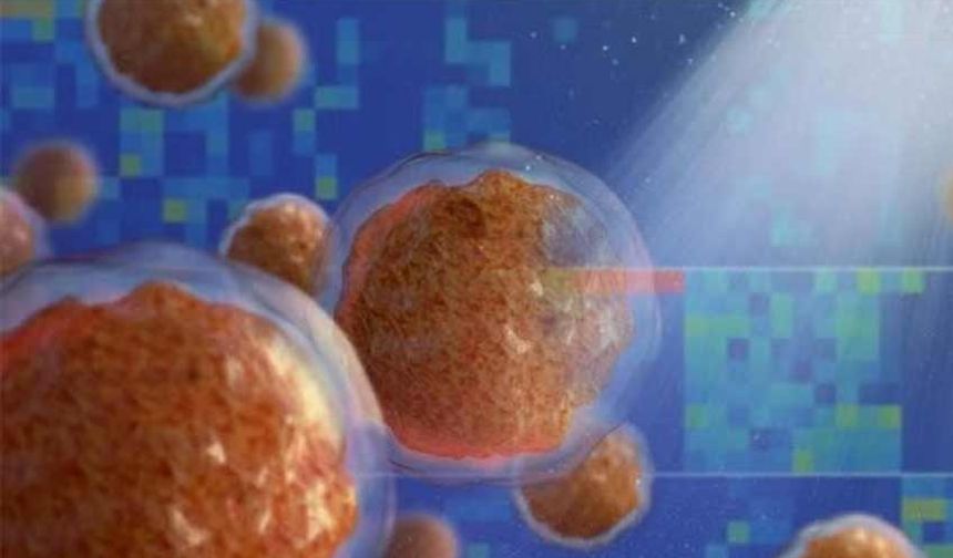 Bilim insanları, löseminin sessiz belirtisini açıkladı