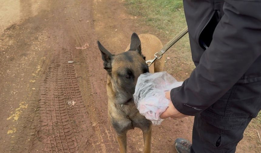 7. gün Kapıdağ'da umut nöbeti sürüyor