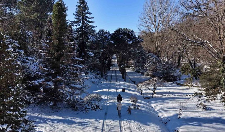İstanbul'da kar göremeyenler Atatürk Arboretumu'na geldi