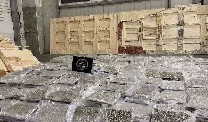 Kontrplaklar arasında 700 kilo esrar ele geçirildi