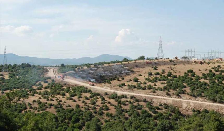 Kaz Dağı’nda yeni altın madeni için ÇED başvurusu