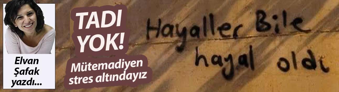 Tadı yok!