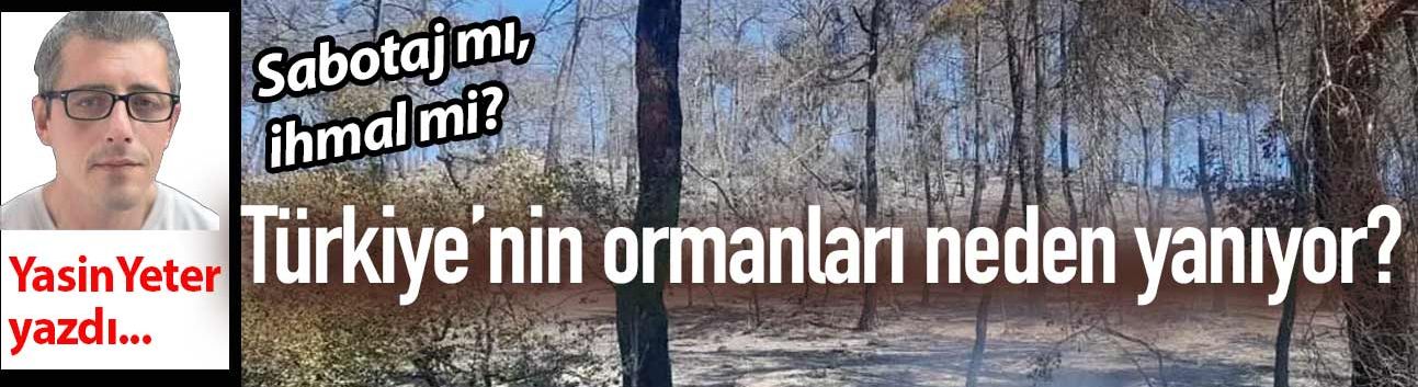 Sabotaj mı, ihmal mi; Türkiye’nin ormanları neden yanıyor?
